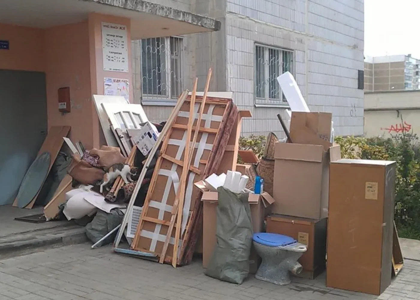 Профессиональный вывоз мусора из квартиры в Донецке в октябре