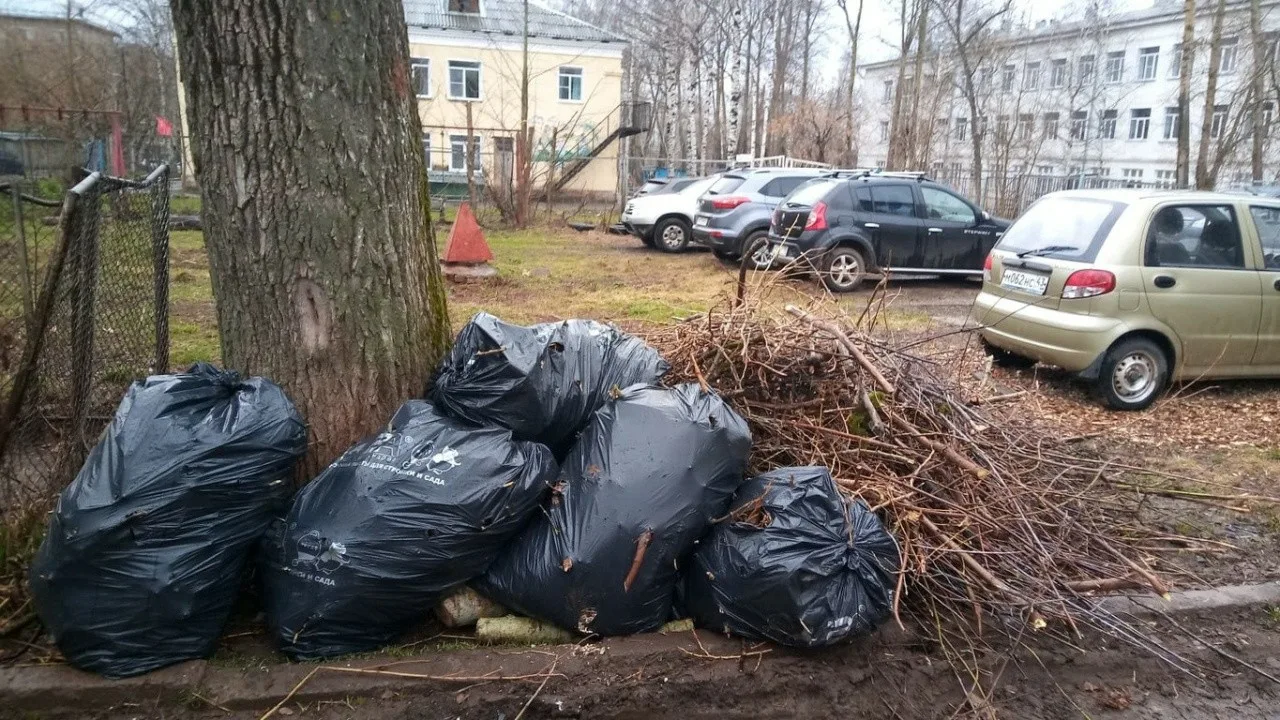 Вывоз мусора после субботника в Донецке от ПроМусор – уборка и утилизация отходов от 2573 руб