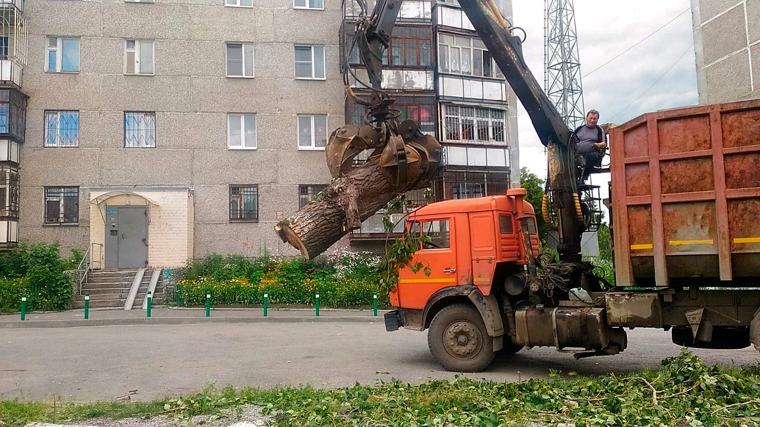 Вывоз спиленных веток и деревьев в Донецке от ПроМусор: порубочные остатки, утилизация, цена от 3175 руб