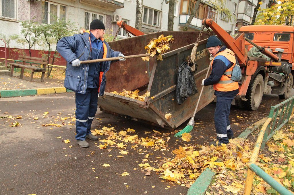 Вывоз опавшей листвы и растительного мусора в Донецке от ПроМусор – цена от 4927 руб., быстрая уборка и утилизация